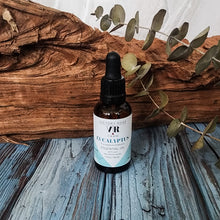 Load image into Gallery viewer, Eucalyptus Essential Oil