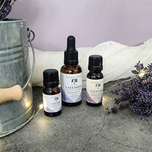Load image into Gallery viewer, Lavender Essential Oil