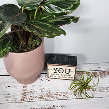 Load image into Gallery viewer, My Favorite Pain Wooden Box Sign