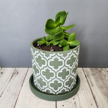 Load image into Gallery viewer, Olive Cross medium 5 inch ceramic planter pot