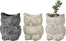 Load image into Gallery viewer, Owl cement planter pot