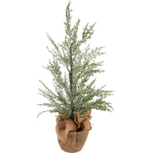 Load image into Gallery viewer, Potted Lighted Cedar Tree