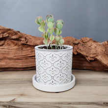 Load image into Gallery viewer, White Fleur de Lis small 3.5 inch ceramic planter pot