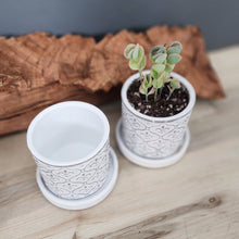 Load image into Gallery viewer, White Fleur de Lis small 3.5 inch ceramic planter pot
