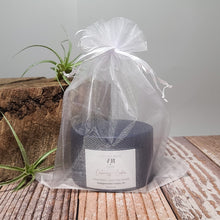 Load image into Gallery viewer, Oakmoss + Cedar Soy Wax Candle