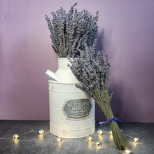 Load image into Gallery viewer, Silver Frost Dried English Lavender Bouquet