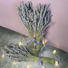Load image into Gallery viewer, Silver Frost Dried English Lavender Bouquet
