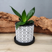 Load image into Gallery viewer, Black Flowers small 3.5 inch ceramic planter pot
