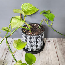 Load image into Gallery viewer, Black Lattice medium 5 inch ceramic planter pot
