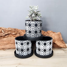 Load image into Gallery viewer, Black Lattice small 3.5 inch ceramic planter pot
