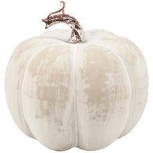 Load image into Gallery viewer, White Chalky Pumpkin
