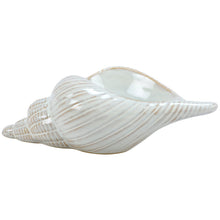 Load image into Gallery viewer, Conch Shell Planter Sitter
