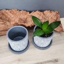 Load image into Gallery viewer, Grey Paisley small 3.5 inch ceramic planter pot

