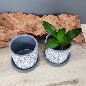 Grey Paisley small 3.5 inch ceramic planter pot