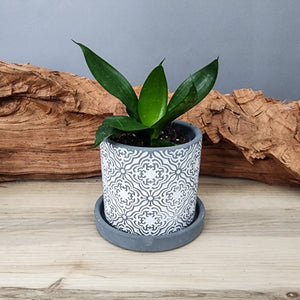 Grey Paisley small 3.5 inch ceramic planter pot