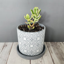 Load image into Gallery viewer, Grey Paisley medium 5 inch ceramic planter pot
