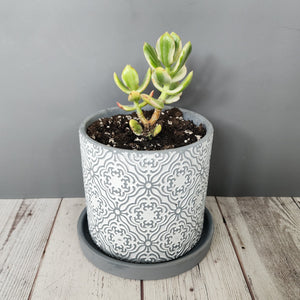 Grey Paisley medium 5 inch ceramic planter pot