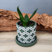 Load image into Gallery viewer, Olive Cross small 3.5 inch ceramic planter pot
