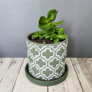 Olive Cross medium 5 inch ceramic planter pot