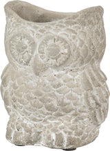 Load image into Gallery viewer, Owl cement planter pot
