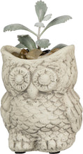 Load image into Gallery viewer, Owl cement planter pot
