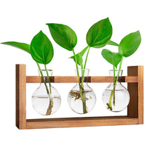 Load image into Gallery viewer, Rustic Plant Propagation Stand
