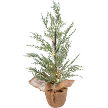 Load image into Gallery viewer, Potted Lighted Cedar Tree
