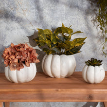Load image into Gallery viewer, Pumpkin Planter Pot
