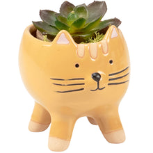 Load image into Gallery viewer, Cat Planter Pot
