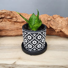 Load image into Gallery viewer, White Flowers small 3.5 inch ceramic planter pot
