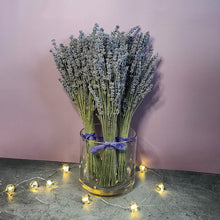 Load image into Gallery viewer, Silver Frost Dried English Lavender Bouquet
